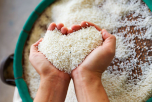 zakat fitrah dengan uang