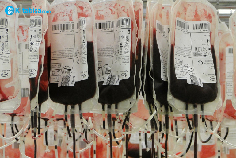 Jenis-Jenis Leukimia dan Beberapa Terapi yang Disarankan Bagi Penderita Leukimia