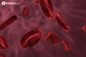 Mengenal Leukimia: Penyebab, Gejala, Serta Cara Mengobatinya