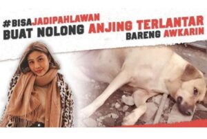 #BisaJadiPahlawan untuk Anjing Terlantar Bersama Awkarin