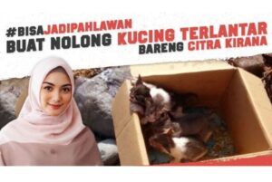#BisaJadiPahlawan untuk Kucing Jalanan Bareng Citra Kirana