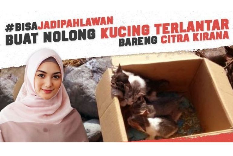 #BisaJadiPahlawan untuk Kucing Jalanan Bareng Citra Kirana