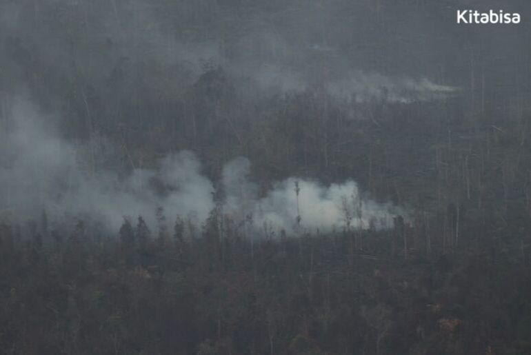 kabut asap