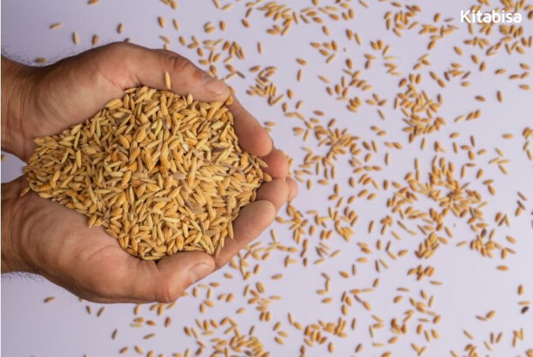 perbedaan zakat fitrah dan zakat maal
