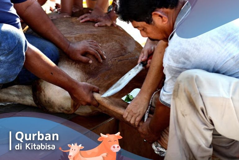 tabungan qurban