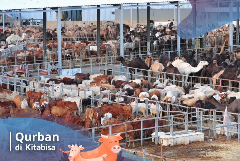 syarat qurban
