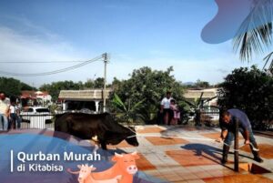 qurban untuk keluarga