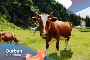 hari raya qurban