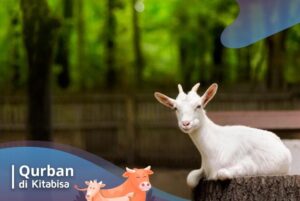 qurban adalah