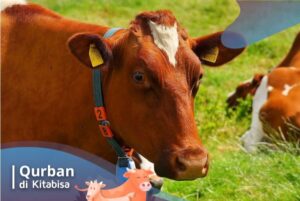 keutamaan qurban