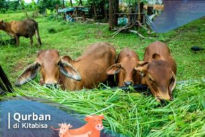 layanan qurban online