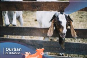 tata cara qurban