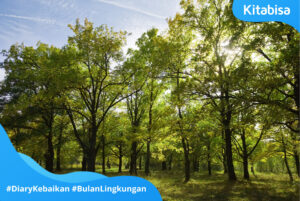 cara menjaga lingkungan