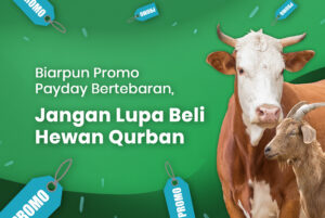 Promo payday