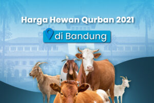 harga hewan qurban di bandung