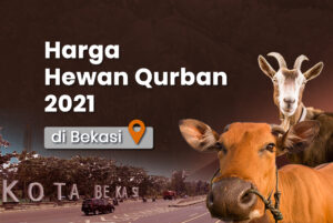 Harga hewan qurban di Bekasi