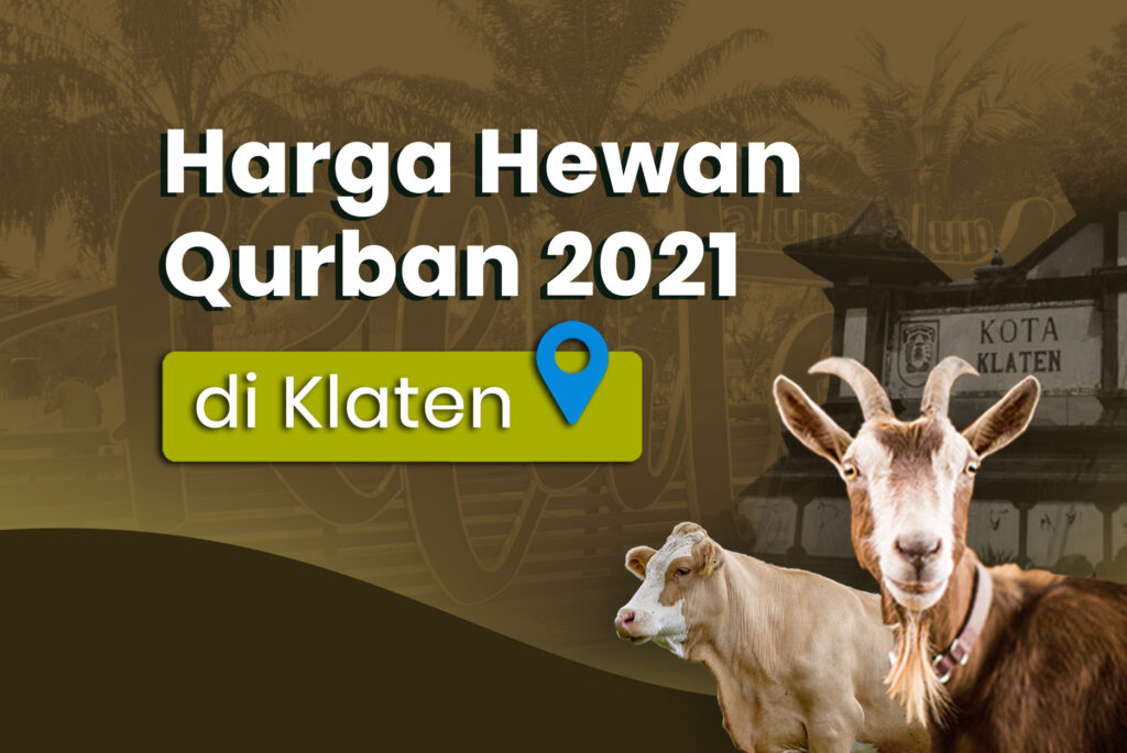 harga hewan qurban di klaten