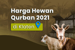 harga hewan qurban di klaten