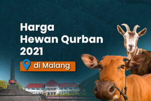harga hewan qurban di malang