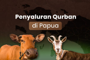 enyaluran Qurban di Papua