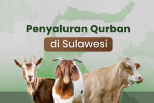qurban di sulawesi