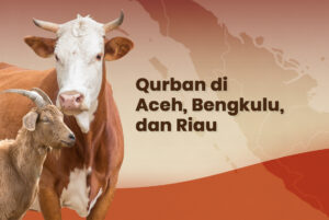 qurban di aceh bengkulu dan riau