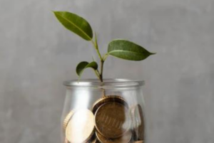 zakat mal