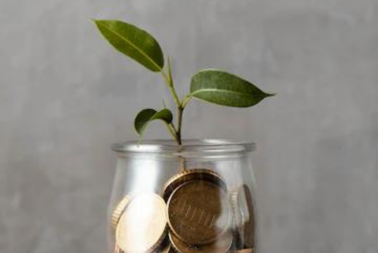 zakat mal